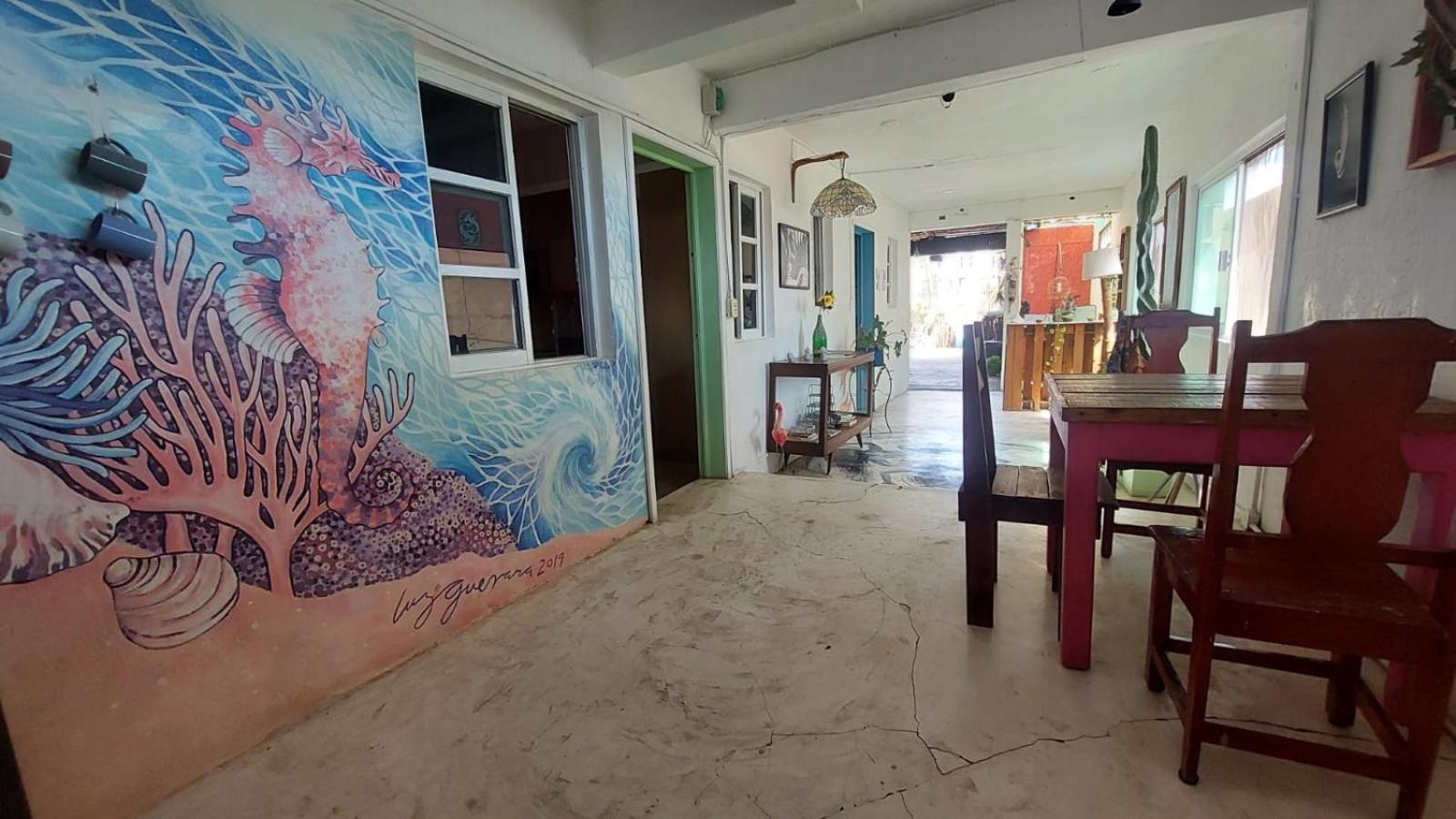 Mi Refugio Dive House Hotel Cozumel Exterior photo